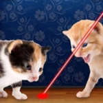 laser pointer for cat android application logo